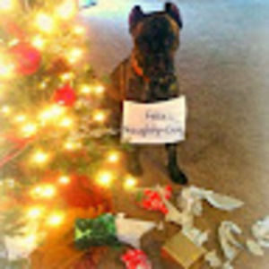 Meet your Posher, Trisha